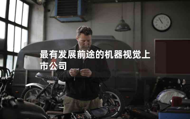 最有發(fā)展前途的機器視覺上市公司