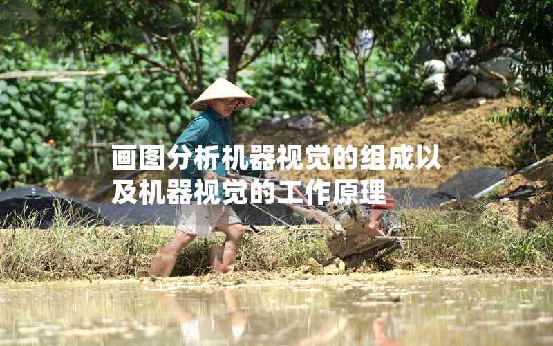 畫圖分析機器視覺的組成以及機器視覺的工作原理