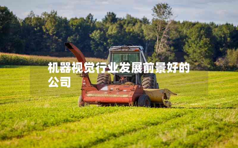 機(jī)器視覺行業(yè)發(fā)展前景好的公司