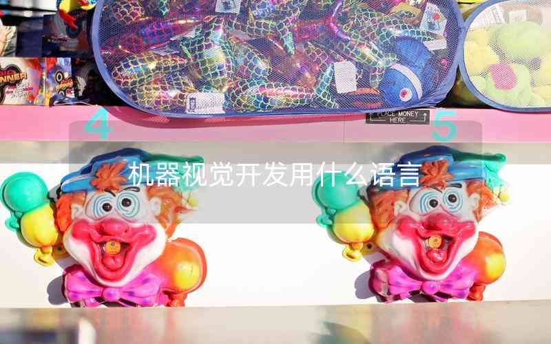 機器視覺開發(fā)用什么語言