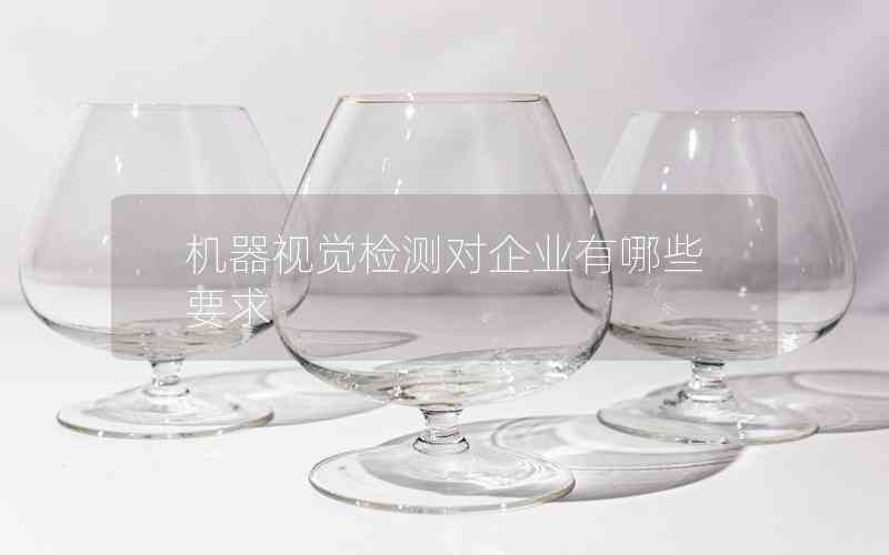 機(jī)器視覺檢測(cè)對(duì)企業(yè)有哪些要求