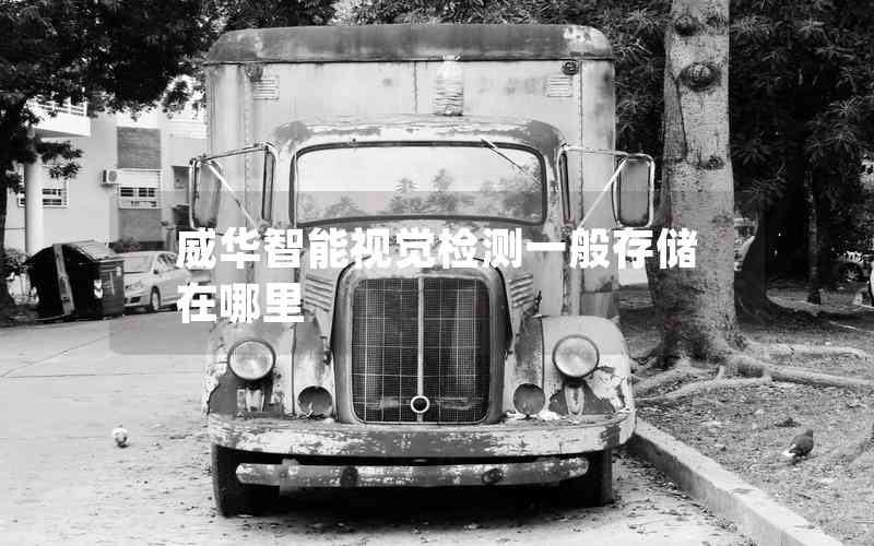 威華智能視覺檢測(cè)一般存儲(chǔ)在哪里