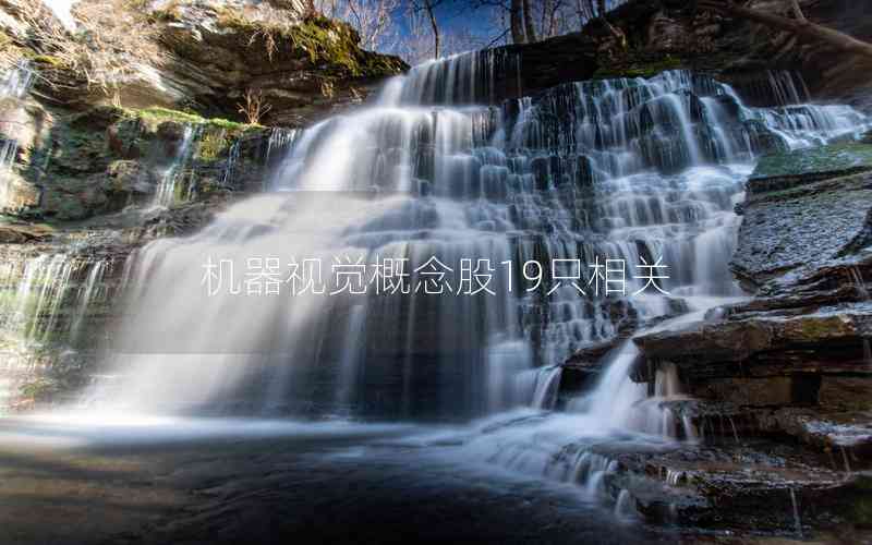 機(jī)器視覺(jué)概念股19只相關(guān)