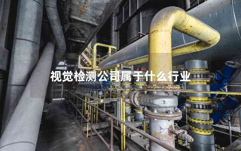 視覺檢測(cè)公司屬于什么行業(yè)