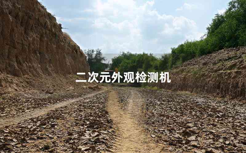 二次元外觀檢測(cè)機(jī)