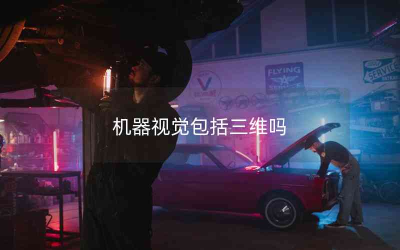 機器視覺包括三維嗎