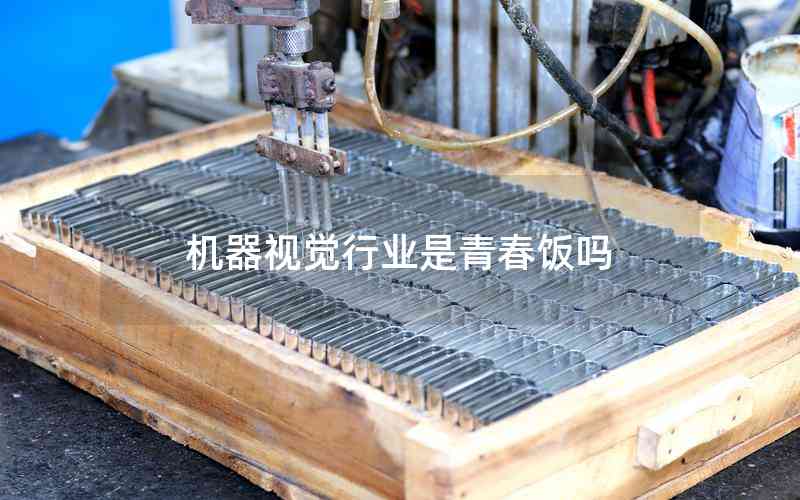 機器視覺行業(yè)是青春飯嗎