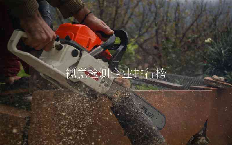 視覺(jué)檢測(cè)企業(yè)排行榜