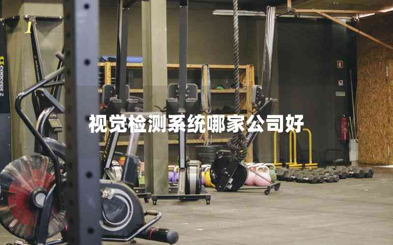 視覺檢測系統(tǒng)哪家公司好