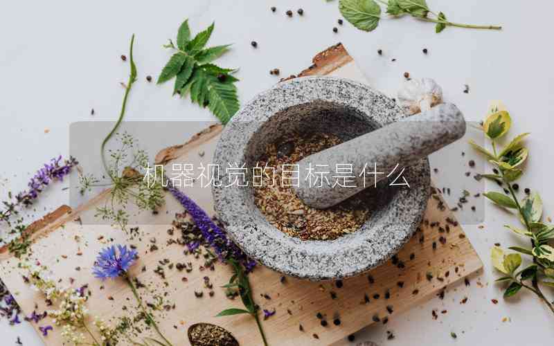 機器視覺的目標(biāo)是什么