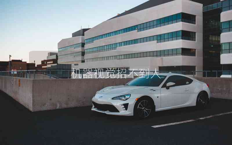 機(jī)器視覺招不到人