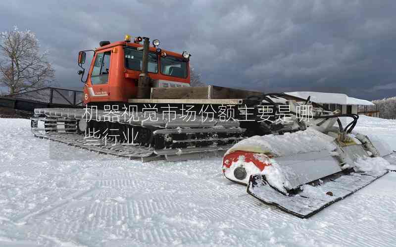 機(jī)器視覺市場份額主要是哪些行業(yè)