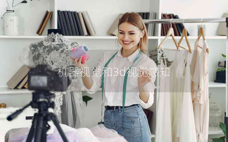 機(jī)器視覺(jué)和3d視覺(jué)感知