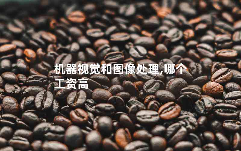 機器視覺和圖像處理,哪個工資高