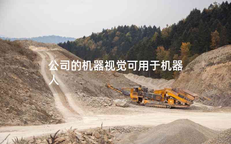 公司的機(jī)器視覺可用于機(jī)器人