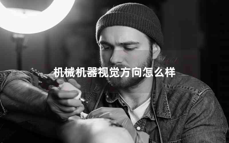 機械機器視覺方向怎么樣