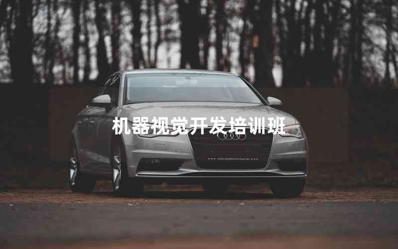 機器視覺開發(fā)培訓班
