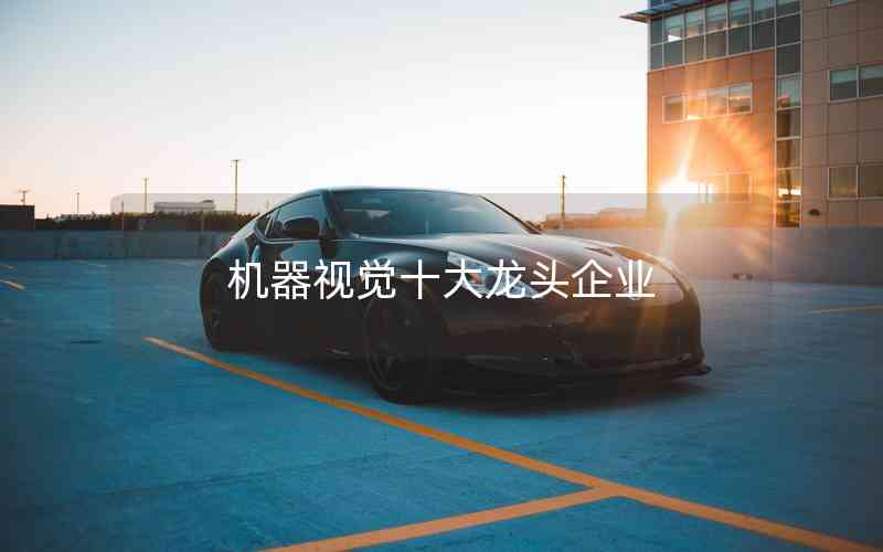 機器視覺十大龍頭企業(yè)