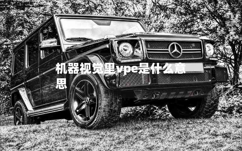 機(jī)器視覺里vpe是什么意思