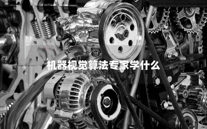 機(jī)器視覺算法專家學(xué)什么