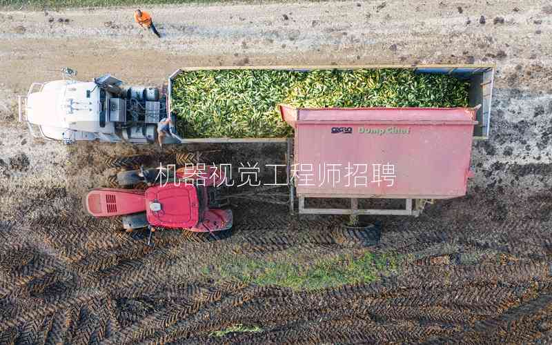 機(jī)器視覺(jué)工程師招聘