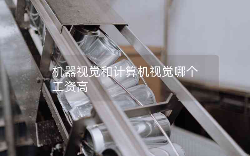 機(jī)器視覺和計(jì)算機(jī)視覺哪個工資高