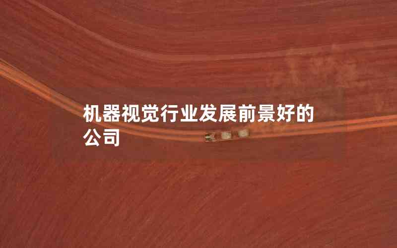 機器視覺行業(yè)發(fā)展前景好的公司