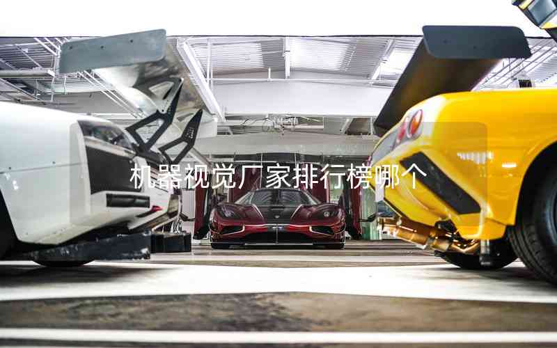 機器視覺廠家排行榜哪個