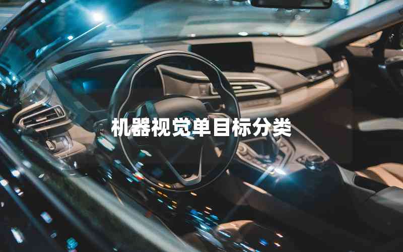 機(jī)器視覺(jué)單目標(biāo)分類