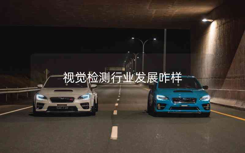視覺(jué)檢測(cè)行業(yè)發(fā)展咋樣
