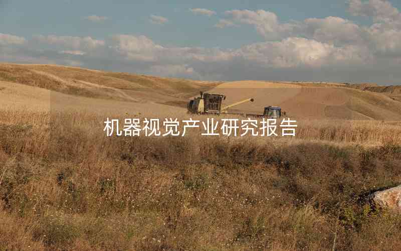 機器視覺產(chǎn)業(yè)研究報告