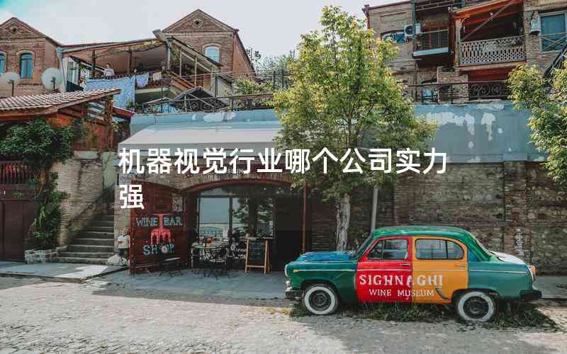 機(jī)器視覺行業(yè)哪個(gè)公司實(shí)力強(qiáng)