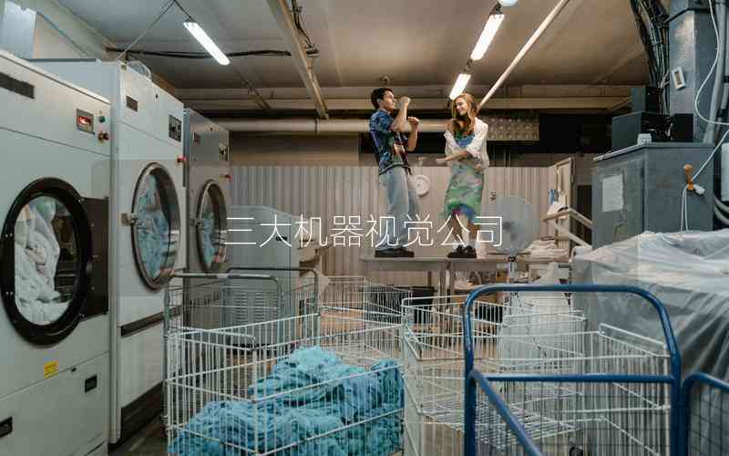 三大機器視覺公司