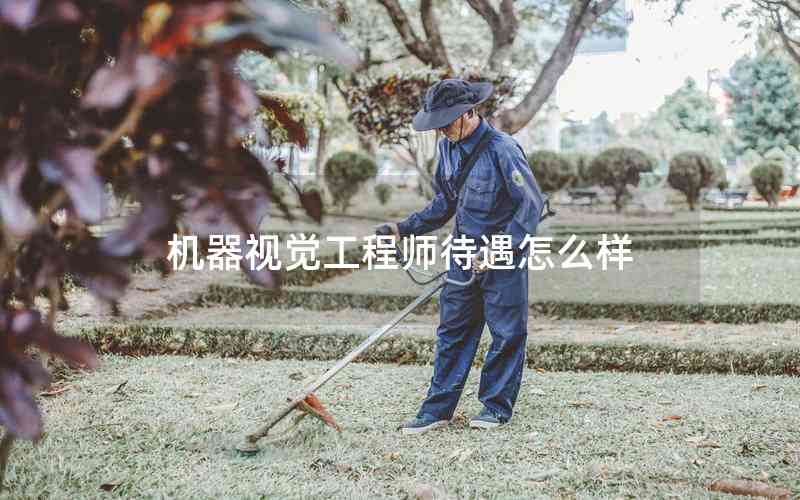 機(jī)器視覺(jué)工程師待遇怎么樣