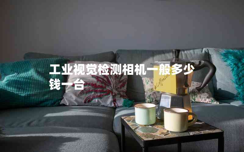 工業(yè)視覺(jué)檢測(cè)相機(jī)一般多少錢一臺(tái)