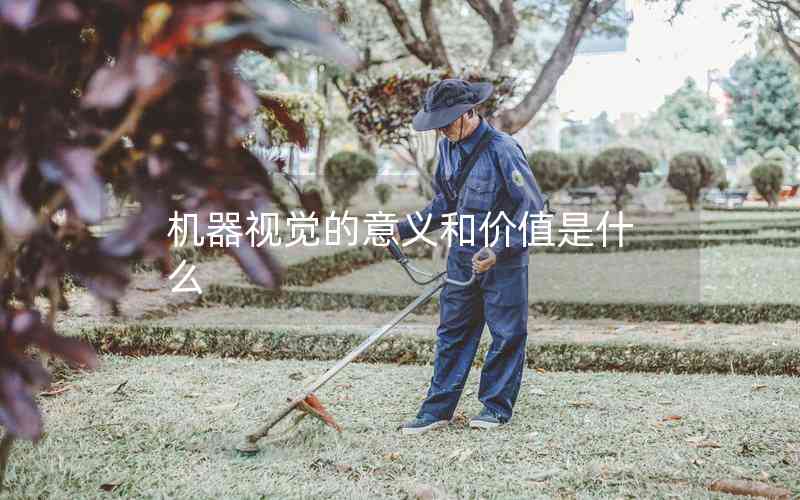 機器視覺的意義和價值是什么