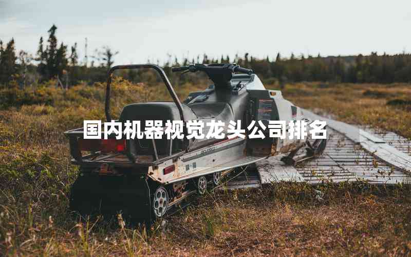 國(guó)內(nèi)機(jī)器視覺(jué)龍頭公司排名