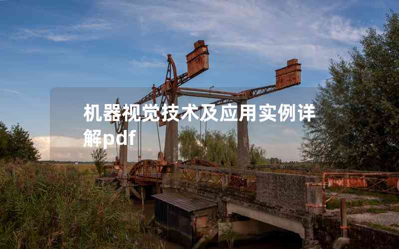 機器視覺技術(shù)及應用實例詳解pdf