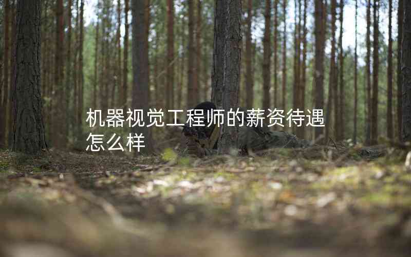 機器視覺工程師的薪資待遇怎么樣