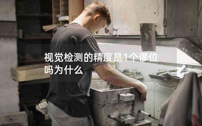 視覺檢測的精度是1個(gè)謬位嗎為什么