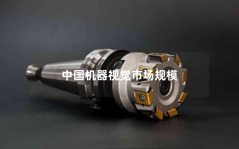 中國(guó)機(jī)器視覺(jué)市場(chǎng)規(guī)模