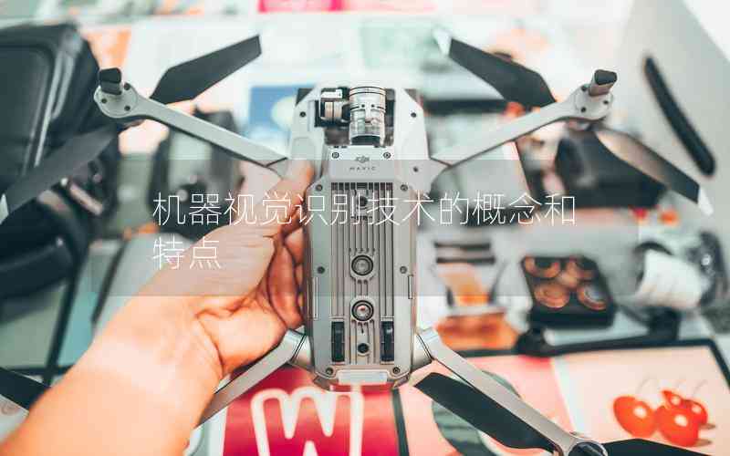 機(jī)器視覺(jué)識(shí)別技術(shù)的概念和特點(diǎn)