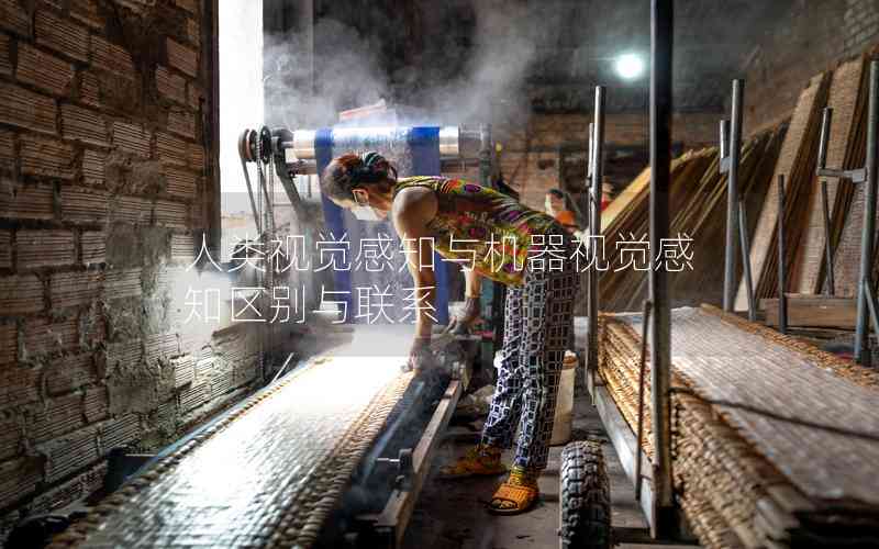 人類視覺感知與機(jī)器視覺感知區(qū)別與聯(lián)系