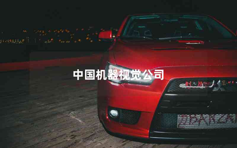 中國機(jī)器視覺公司