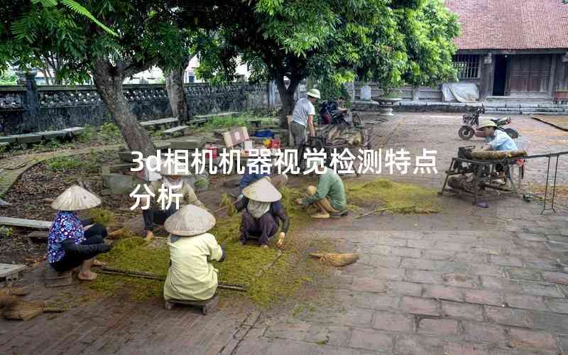3d相機(jī)機(jī)器視覺(jué)檢測(cè)特點(diǎn)分析