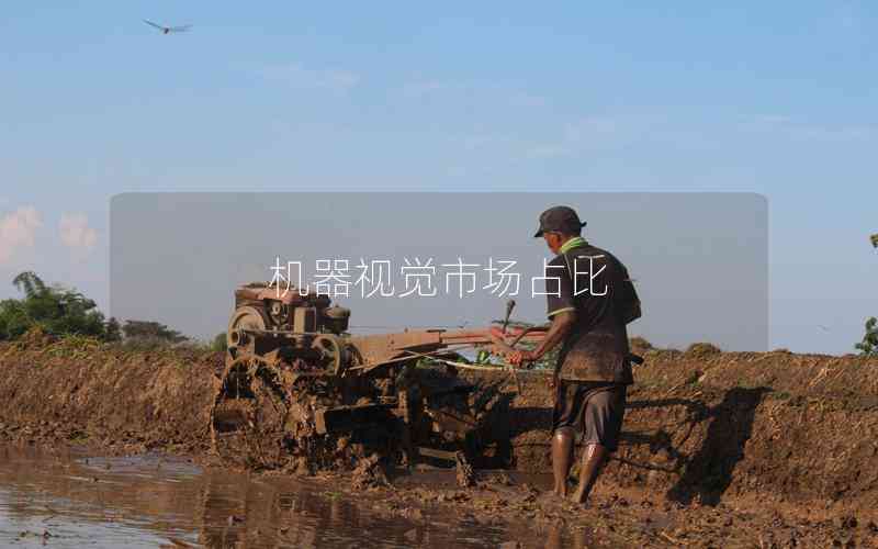 機(jī)器視覺市場占比