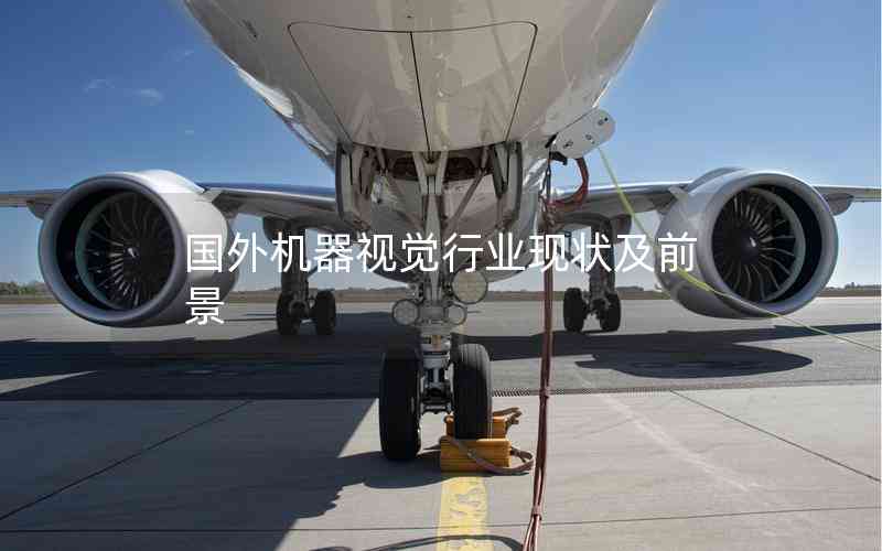 國(guó)外機(jī)器視覺(jué)行業(yè)現(xiàn)狀及前景