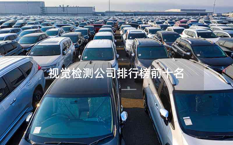 視覺檢測(cè)公司排行榜前十名