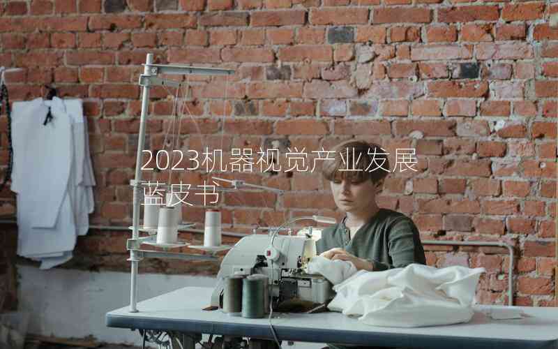 2023機器視覺產(chǎn)業(yè)發(fā)展藍皮書