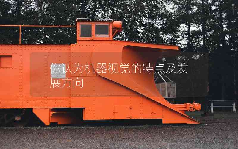 你認為機器視覺的特點及發(fā)展方向